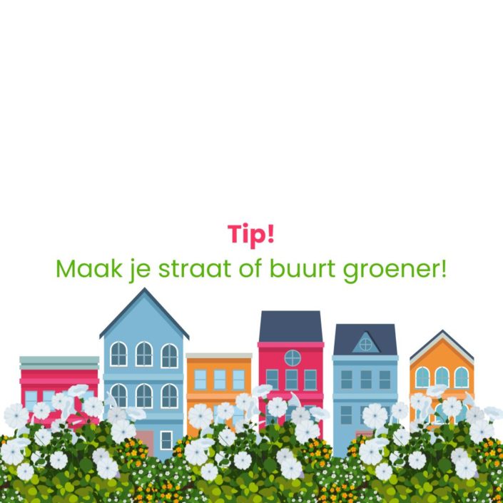 Tip Groeninitiatief Maak je buurt groener