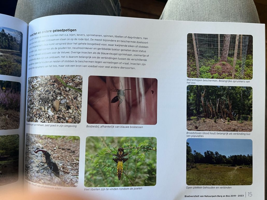 boscafe zero waste week 2025