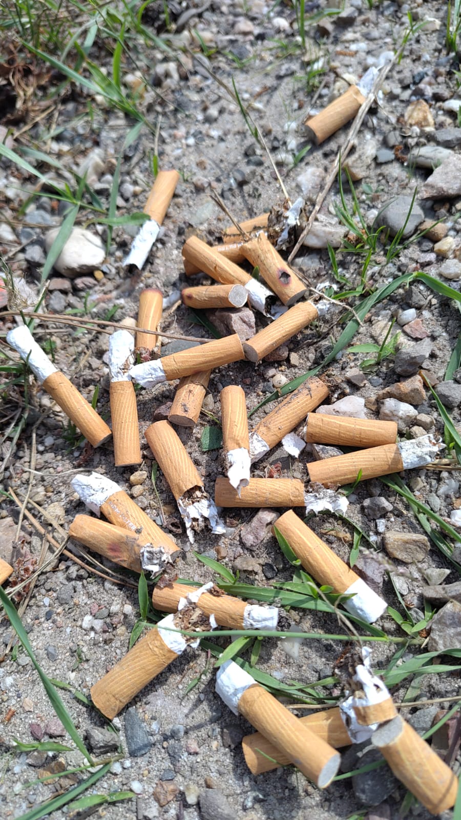 op pad met Juliette peuken