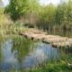 Wandeling IVN park Zuidbroek
