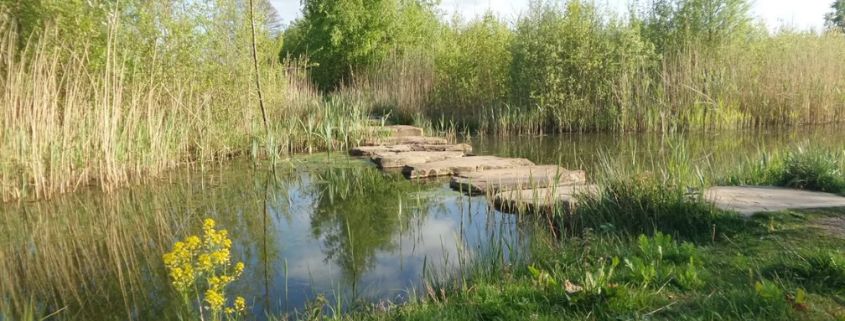 Wandeling IVN park Zuidbroek