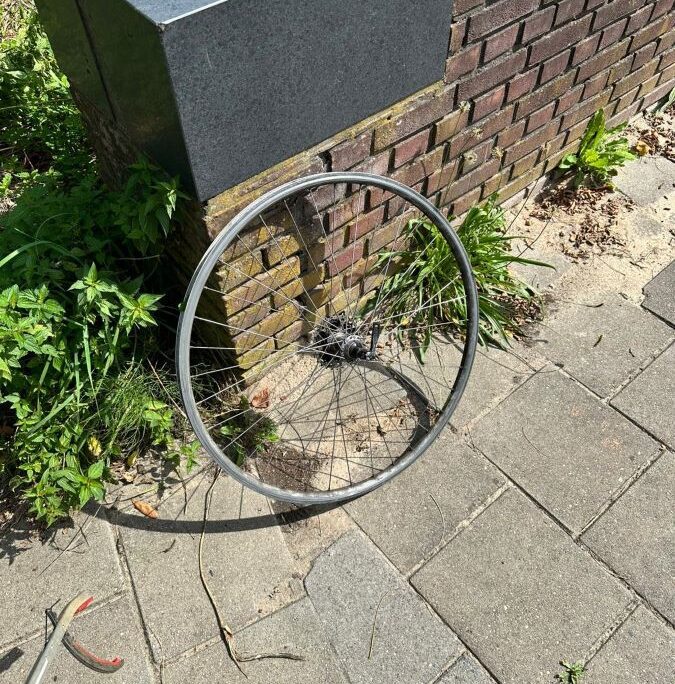 Maandelijkse Plandeldag