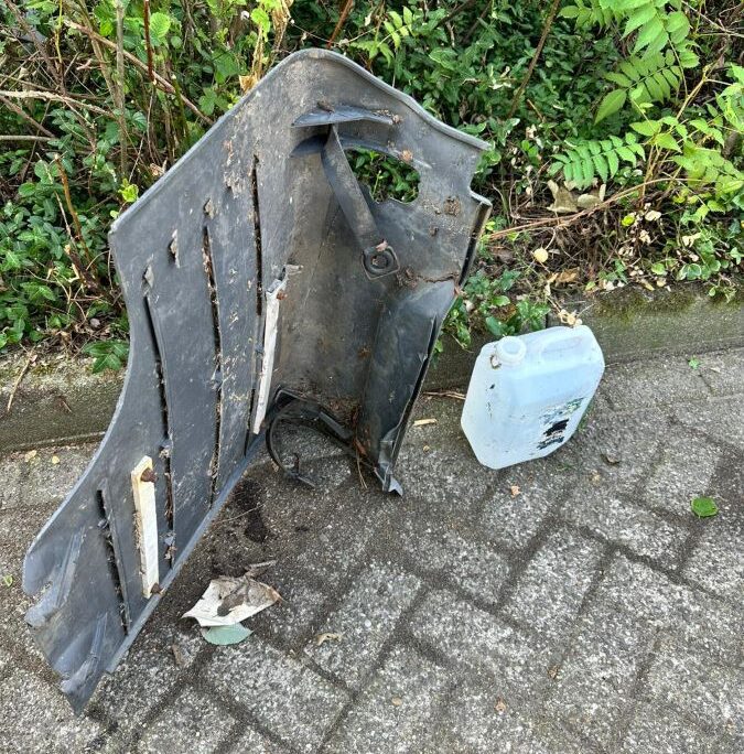 Maandelijkse Plandeldag