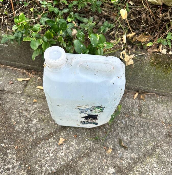 Maandelijkse Plandeldag