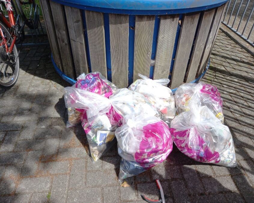 Maandelijkse Plandeldag