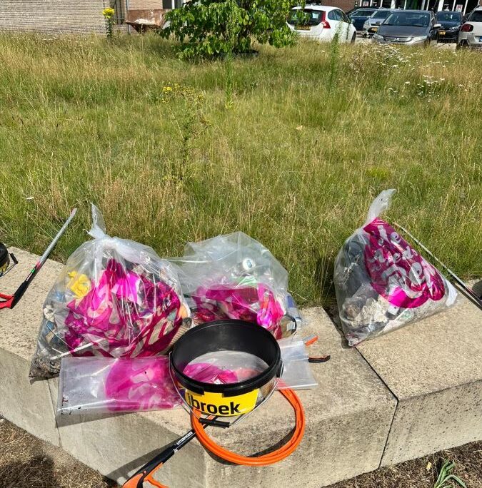 Maandelijkse Plandeldag