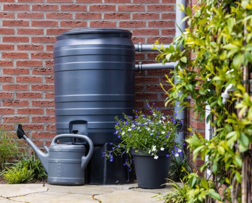 Regenton Regenwater afkoppelen