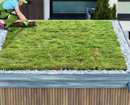 Leg een groen dak aan