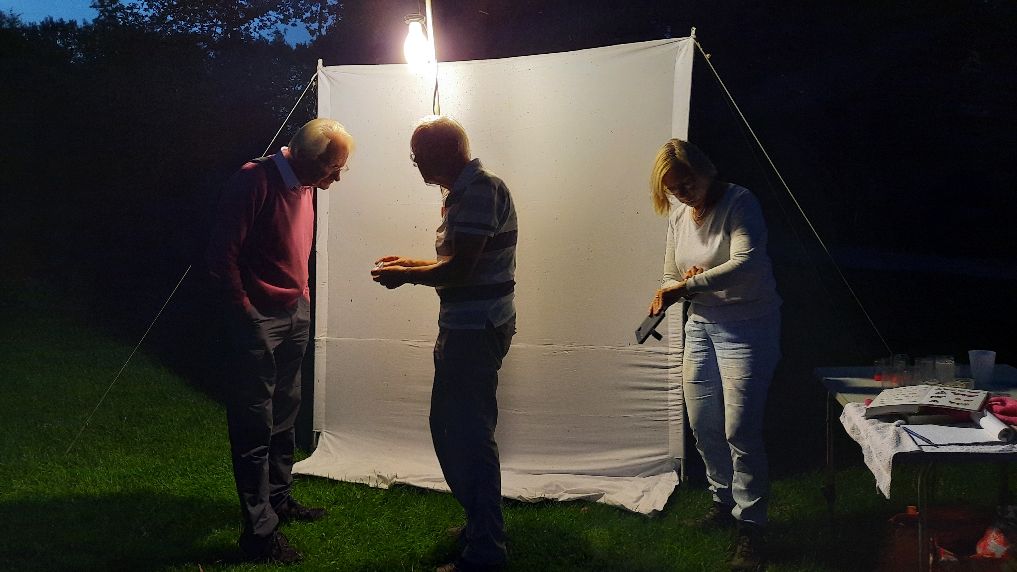 Nachtvlinders Nachtvlindernacht IVN