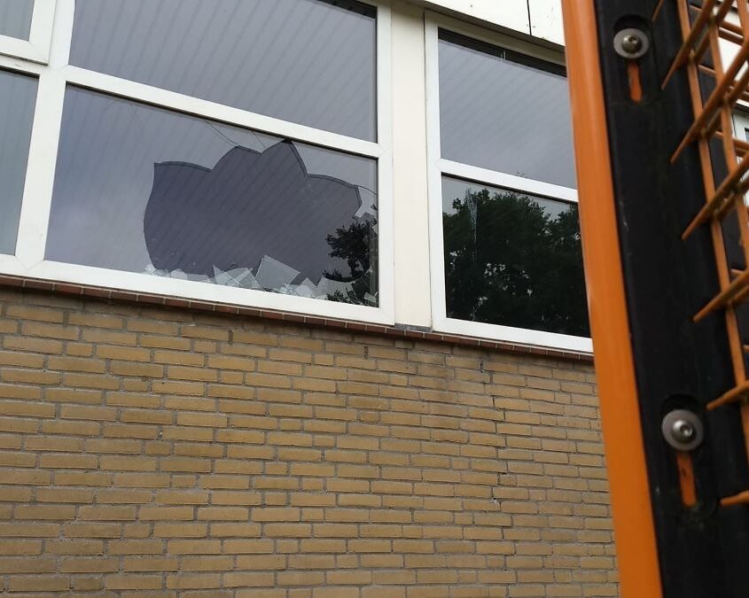 Maandelijkse Plandeldag in Apeldoorn Zomer, ZAPpers & Schone Straten Zero Waste Apeldoorn