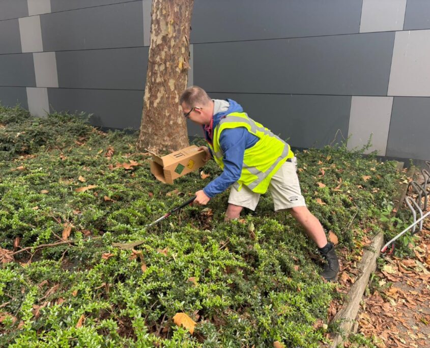 Maandelijkse Plandeldag in Apeldoorn Zomer, ZAPpers & Schone Straten Zero Waste Apeldoorn