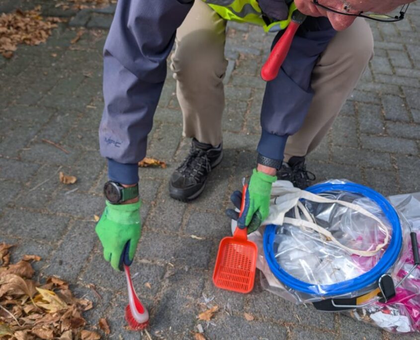 Maandelijkse Plandeldag in Apeldoorn Zomer, ZAPpers & Schone Straten Zero Waste Apeldoorn