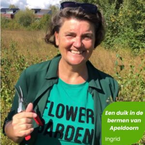 Duik in de bermen van Apeldoorn Workshop bloemenzaden oogsten