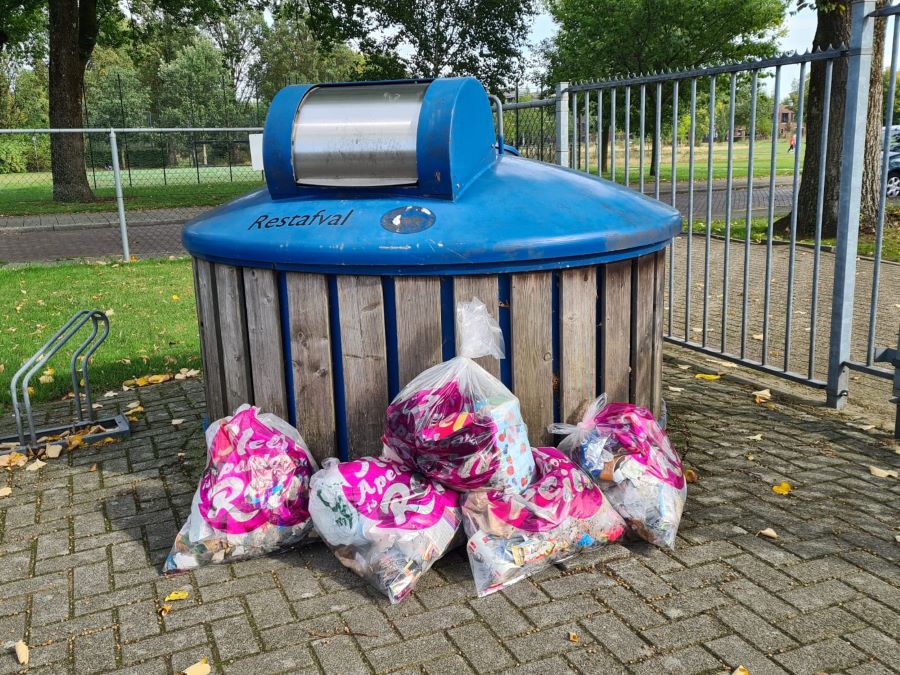 World Cleanup Day 2025 in Apeldoorn