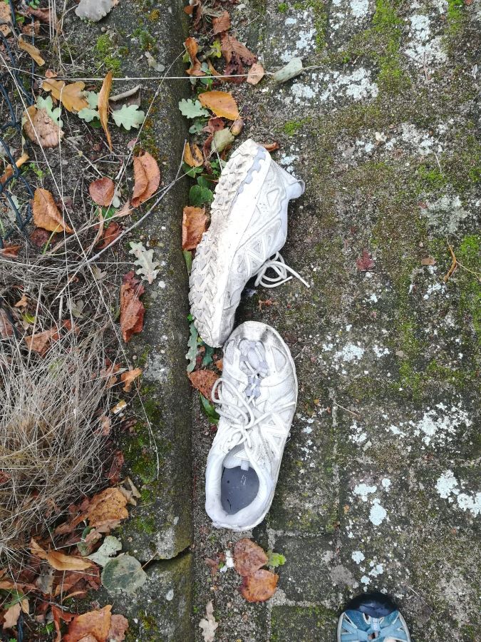 World Cleanup Day 2025 in Apeldoorn