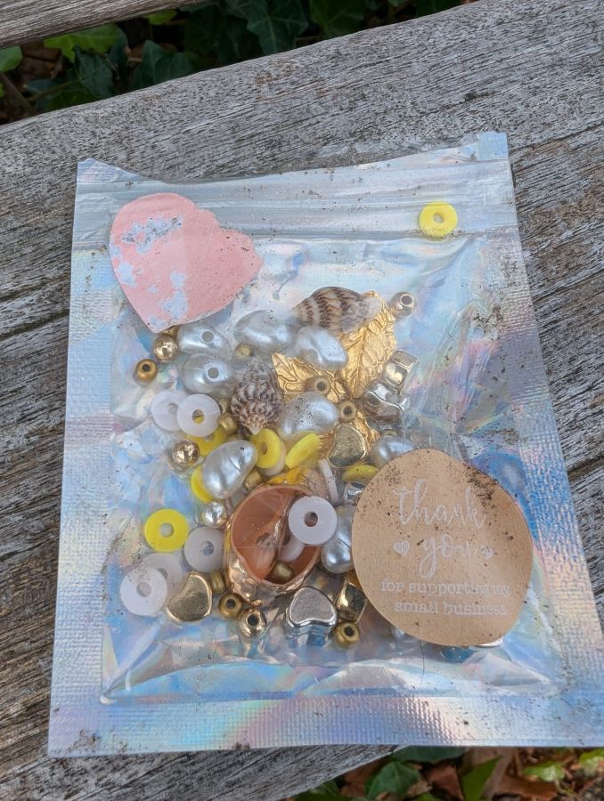 World Cleanup Day 2025 in Apeldoorn