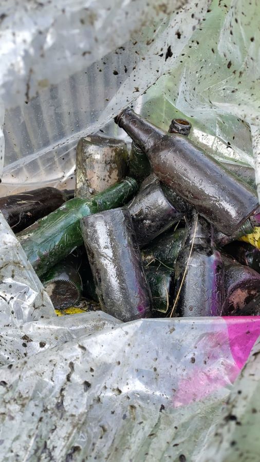 World Cleanup Day 2025 in Apeldoorn