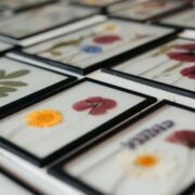 ByManao gedroogde bloemen ingelijst