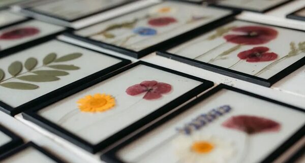 By Manoa gedroogde bloemen ingelijst