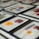 By Manoa gedroogde bloemen ingelijst