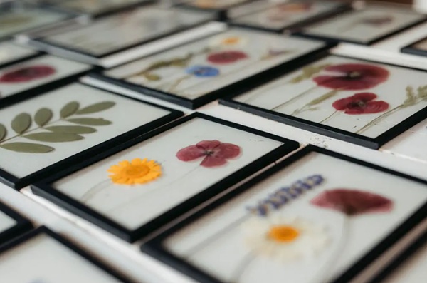 By Manoa gedroogde bloemen ingelijst