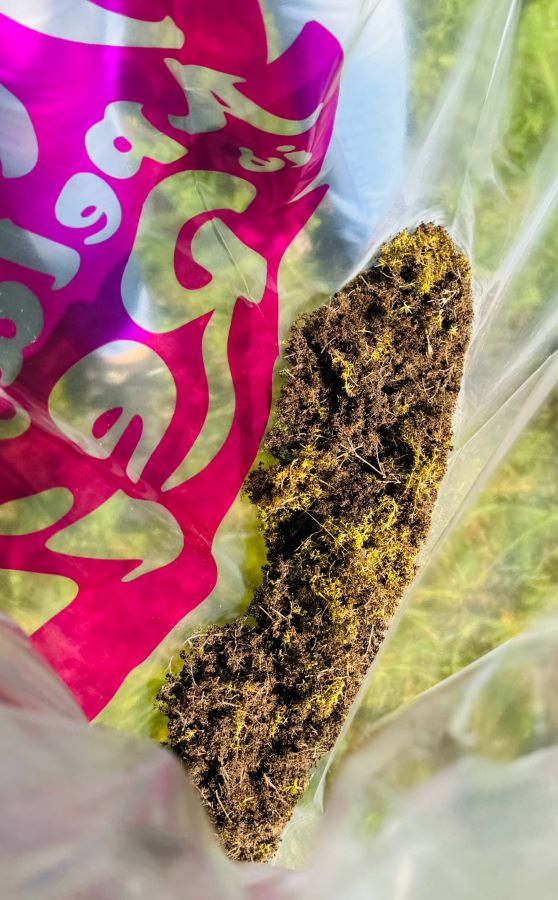 workshop bloemzaden oogsten Zero Waste Apeldoorn