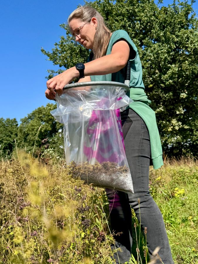 workshop bloemzaden oogsten Zero Waste Apeldoorn