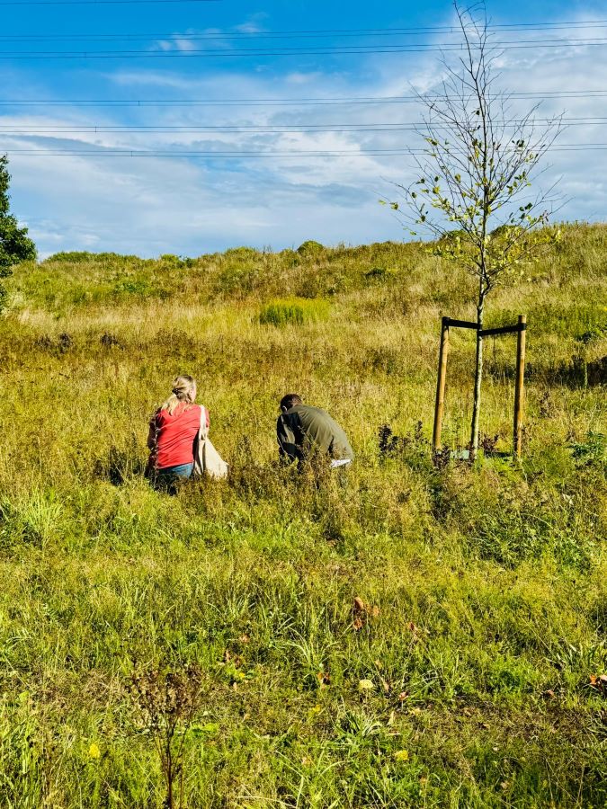 workshop bloemzaden oogsten Zero Waste Apeldoorn