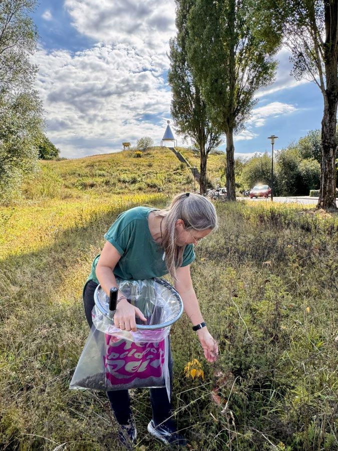 workshop bloemzaden oogsten Zero Waste Apeldoorn