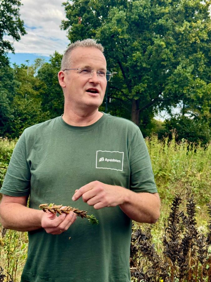 workshop bloemzaden oogsten Zero Waste Apeldoorn