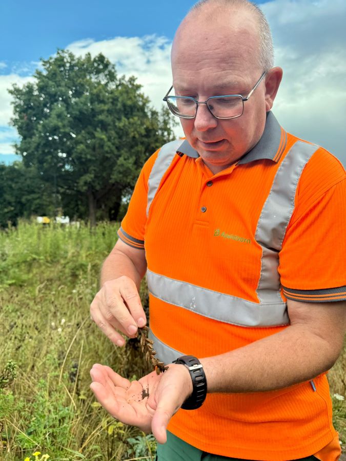 workshop bloemzaden oogsten Zero Waste Apeldoorn