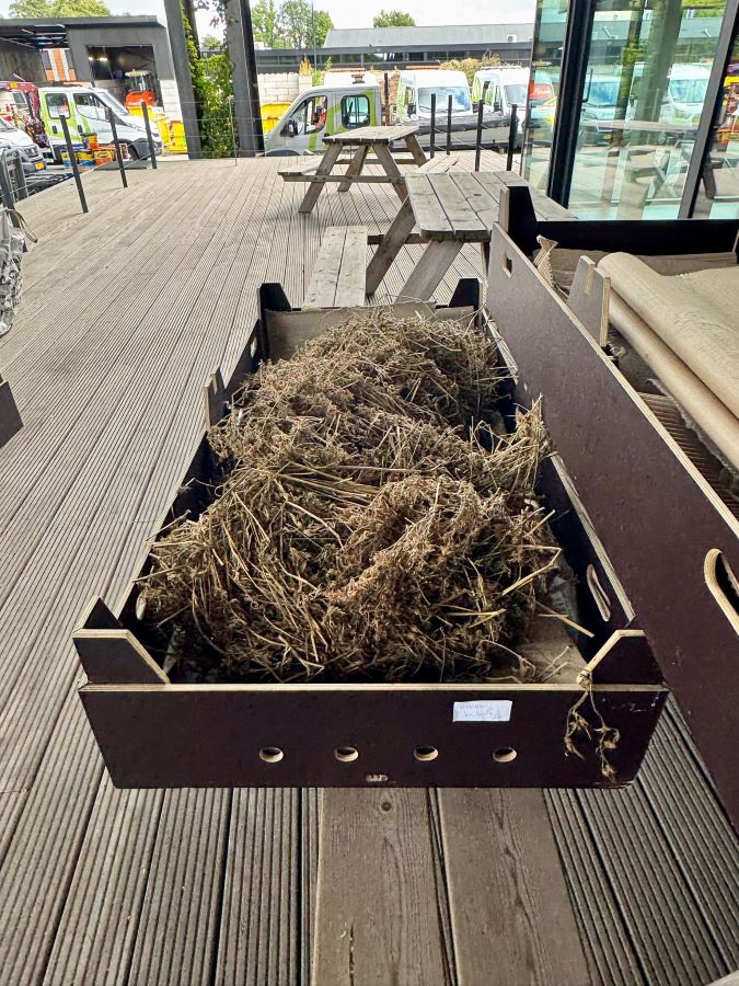 workshop bloemzaden oogsten Zero Waste Apeldoorn