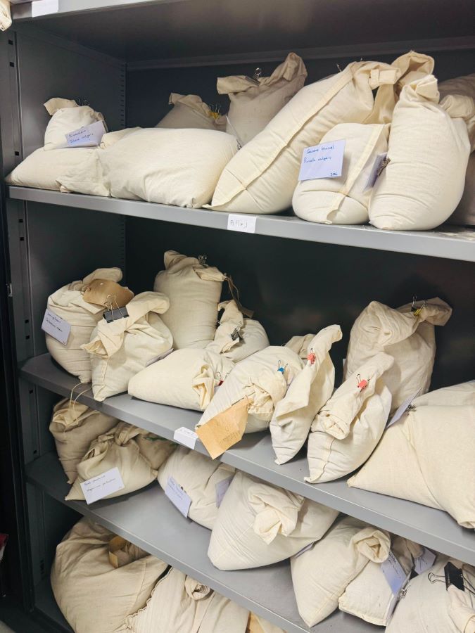 workshop bloemzaden oogsten Zero Waste Apeldoorn