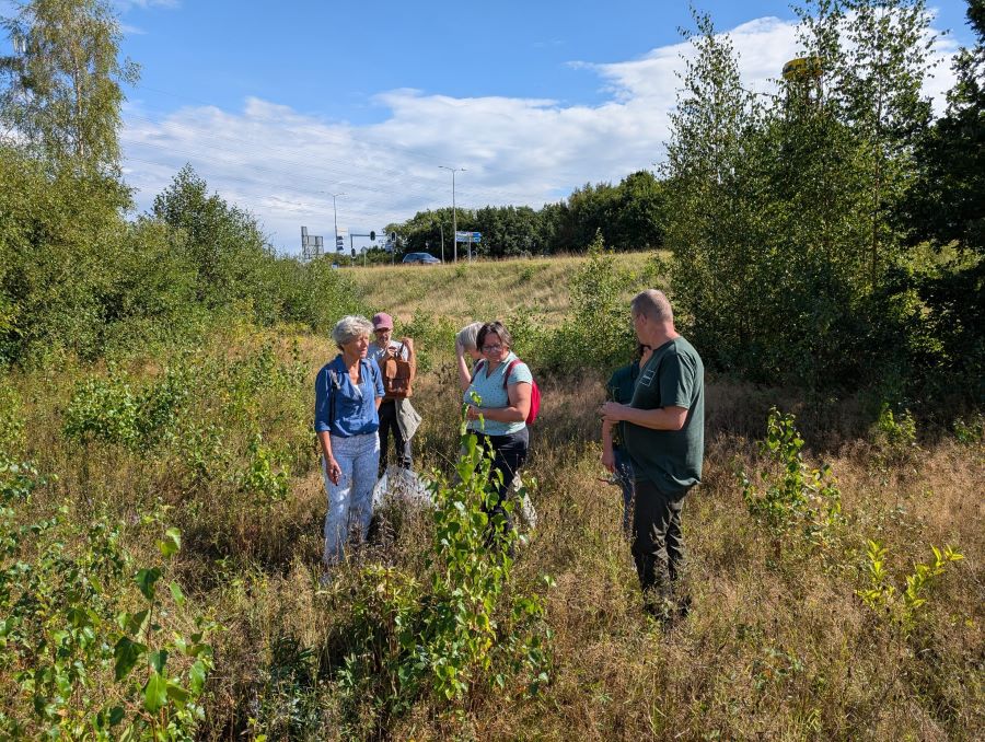 workshop bloemzaden oogsten Zero Waste Apeldoorn