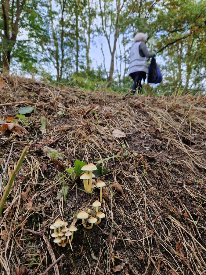 Ploggen herfst Zero Waste Apeldoorn