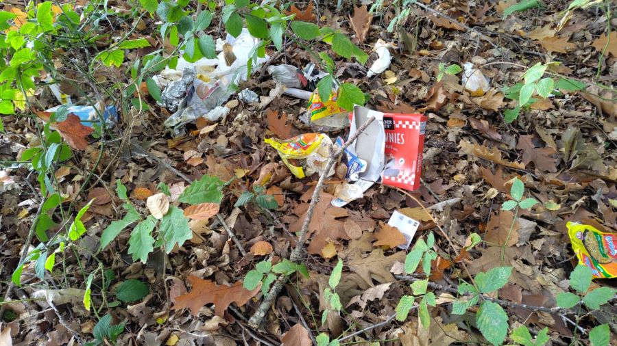 Ploggen herfst Zero Waste Apeldoorn