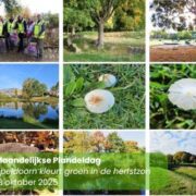 Maandelijkse Plandeldag oktober 2025 Maandelijkse Plandeldag oktober 2025 Zero Waste Apeldoorn
