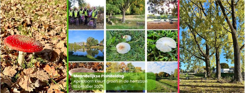 Maandelijkse Plandeldag oktober 2025 Zero Waste Apeldoorn