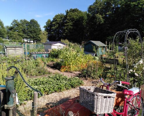 Moestuin Volkstuin Hof van Zuid Apeldoorn