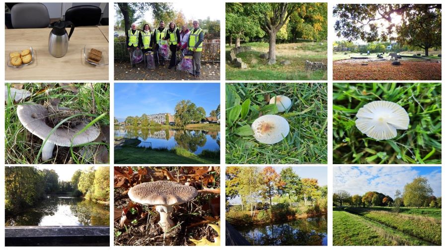 Maandelijkse Plandeldag oktober 2025 Zero Waste Apeldoorn