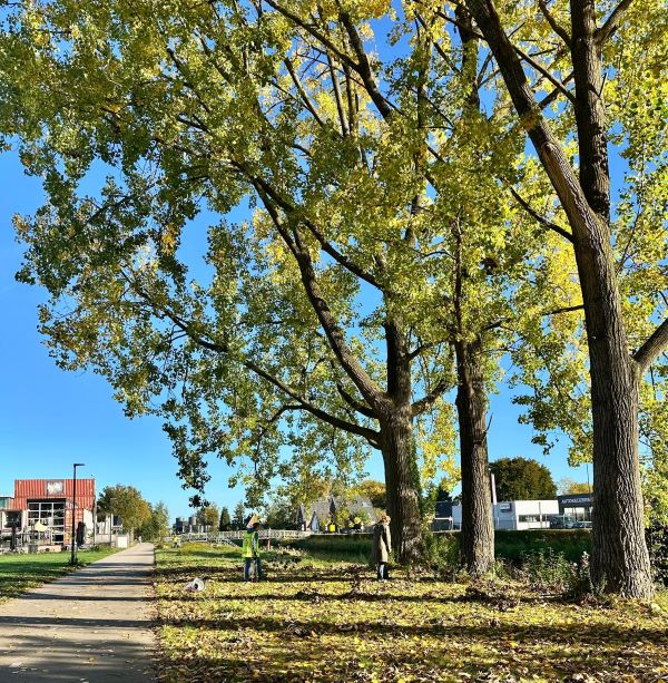 Maandelijkse Plandeldag oktober 2025 Zero Waste Apeldoorn
