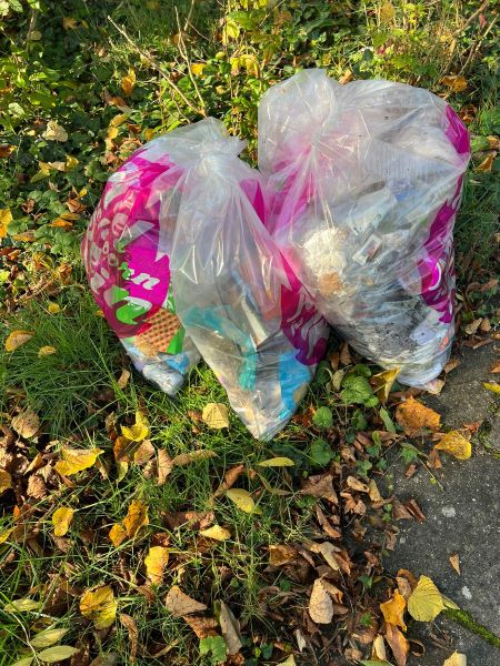 Maandelijkse Plandeldag oktober 2025 Zero Waste Apeldoorn