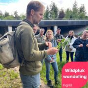 wildpluk-wandeling-cover Blog Wildplukwandeling Zero Waste Week
