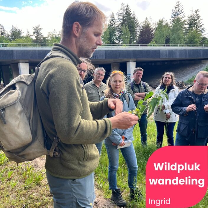 wildpluk-wandeling-cover Blog Wildplukwandeling Zero Waste Week