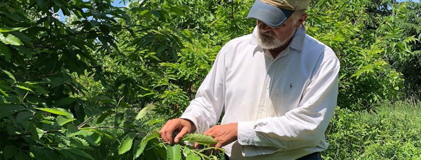 Feeding Tomorrow - Food.Film.Fest