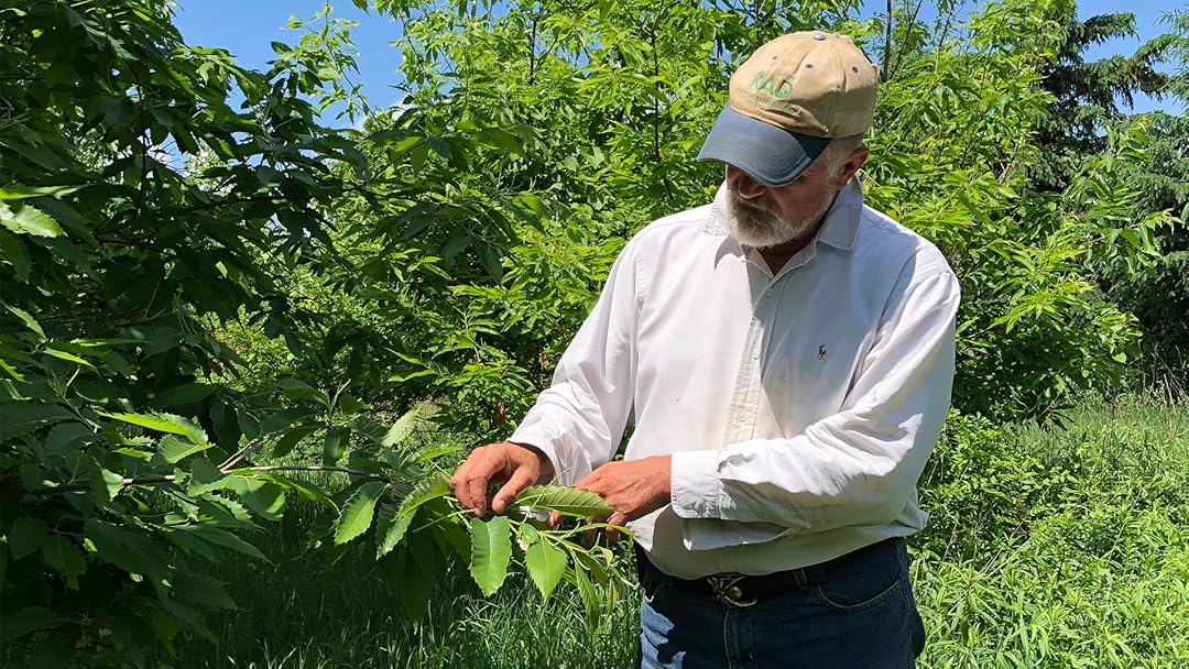 Feeding Tomorrow - Food.Film.Fest
