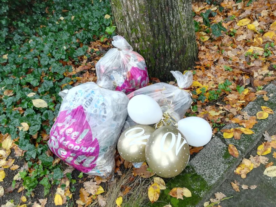 De wijk in van plandelen tot groenfestival in Apeldoorn