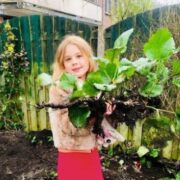 Struikroven Apeldoorn banner