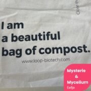 blog Mysterie & Mycelium
