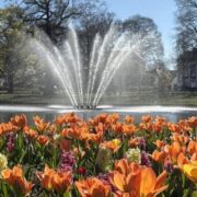Bloemen Oranjepark Apeldoorn